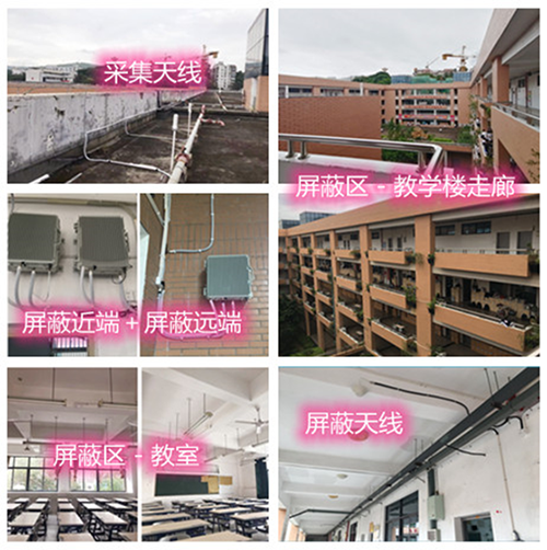  涡阳某中学考场屏蔽案例（数字信令级）
